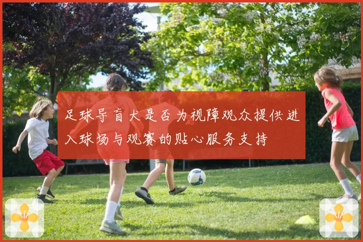 足球导盲犬是否为视障观众提供进入球场与观赛的贴心服务支持