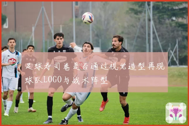 足球寿司卷是否通过视觉造型再现球队LOGO与战术阵型