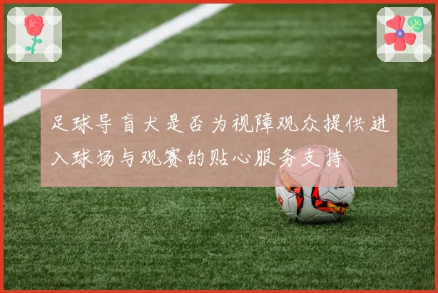 足球导盲犬是否为视障观众提供进入球场与观赛的贴心服务支持