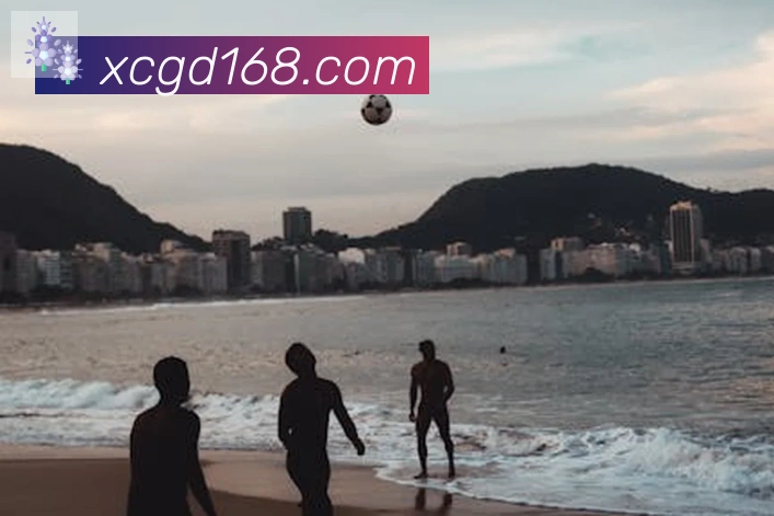 开云官方网站登录入口发展历程