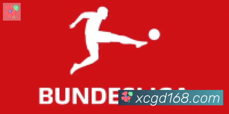 开云官方网站登录入口合作伙伴