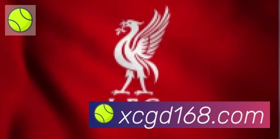 开云官方网站登录入口合作伙伴